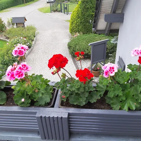 Wiesenblick * Hirschburg